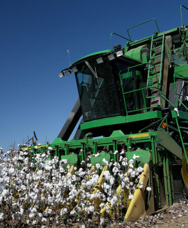 tractor in cotton field
