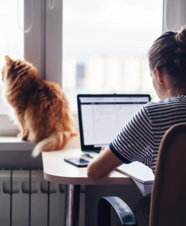 AdobeStock 201198183 372x451 - TSTC pays homage to Home Office Safety and Security Week