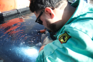 TSTC’s Harlingen campus hosts Texas High School Welding Series regional competition 2R7A8446 300x200 - TSTC’s Harlingen campus hosts Texas High School Welding Series regional competition