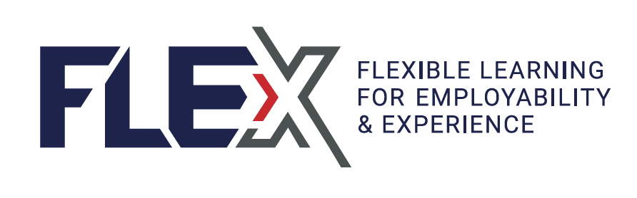 FLEX logo - FLEX: Flexible Learning for Employability & Experience