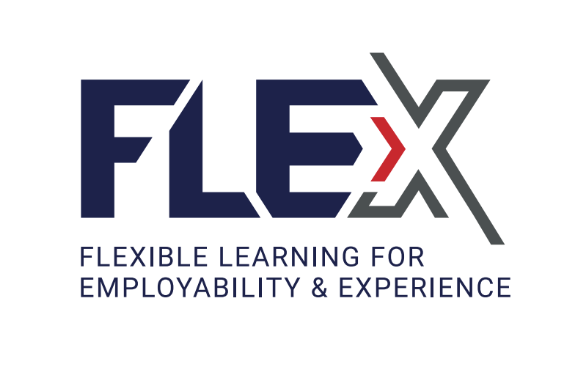 FLEX logo